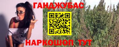шишки Анапа