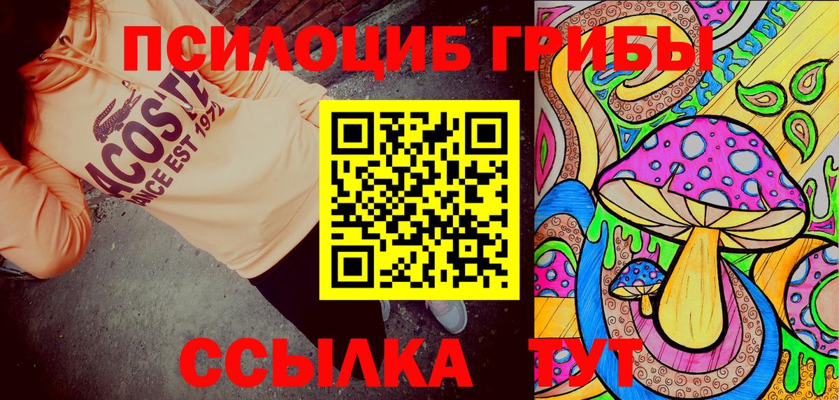 Чапаевск  Галлюциногенные грибы прущие грибы  Вход с VPN 