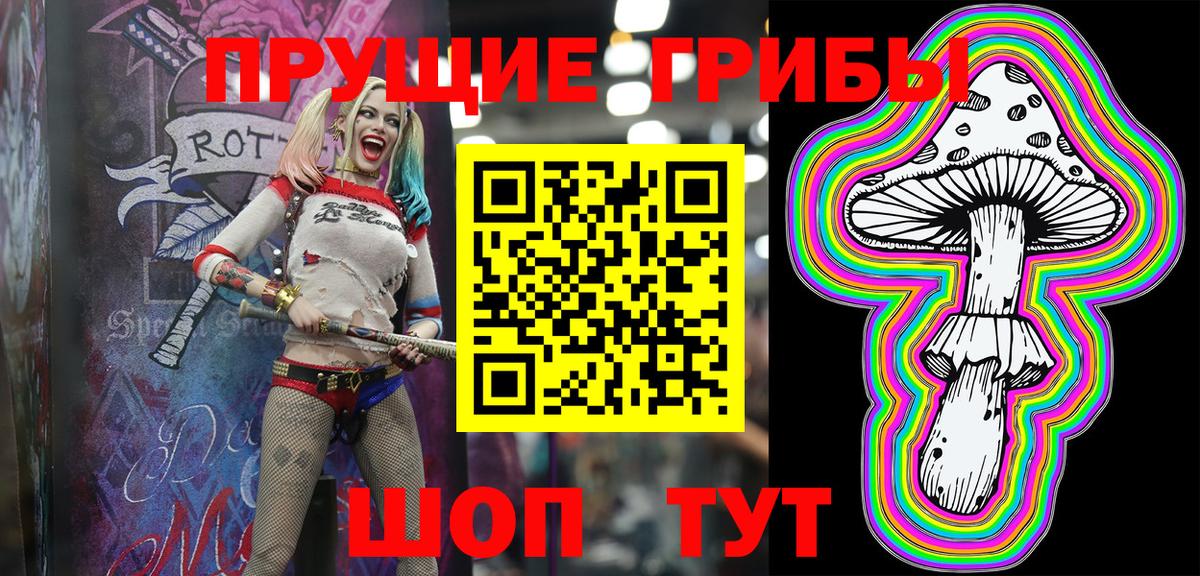 Псилоцибиновые грибы Psilocybine cubensis Чапаевск