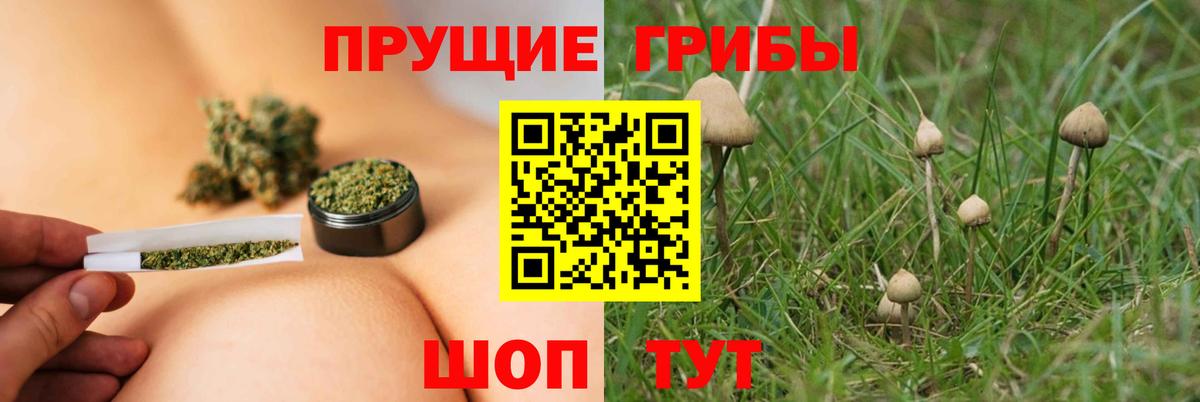 ГАШИШ Чапаевск